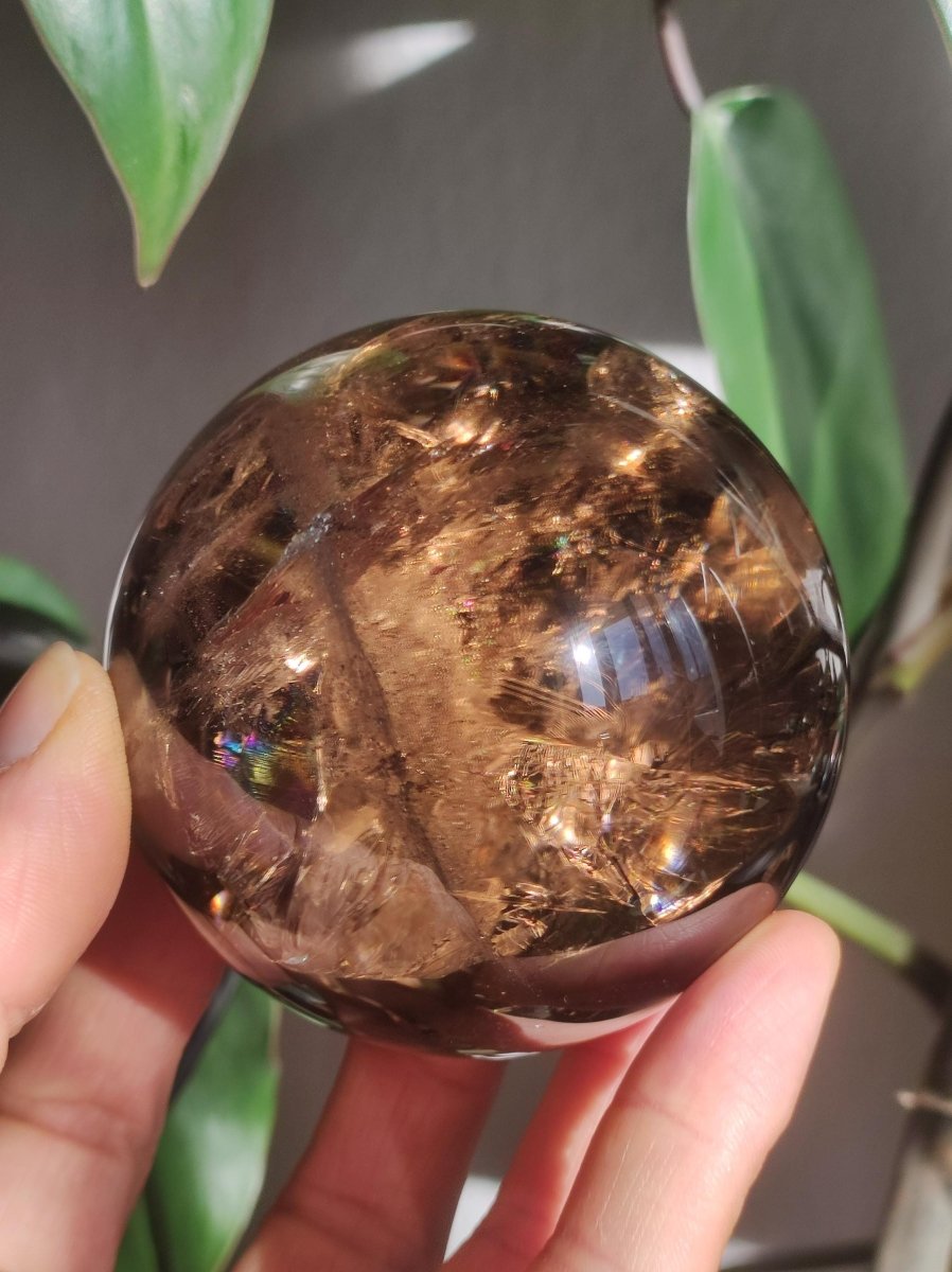 XL Rauchquarz AAA Smokey Quarz Regenbogen Magische Edelstein Sammler Kugel Deko Sphere Kristall Heilstein Meditation Rarität Besonders Groß - Art of Nature Berlin