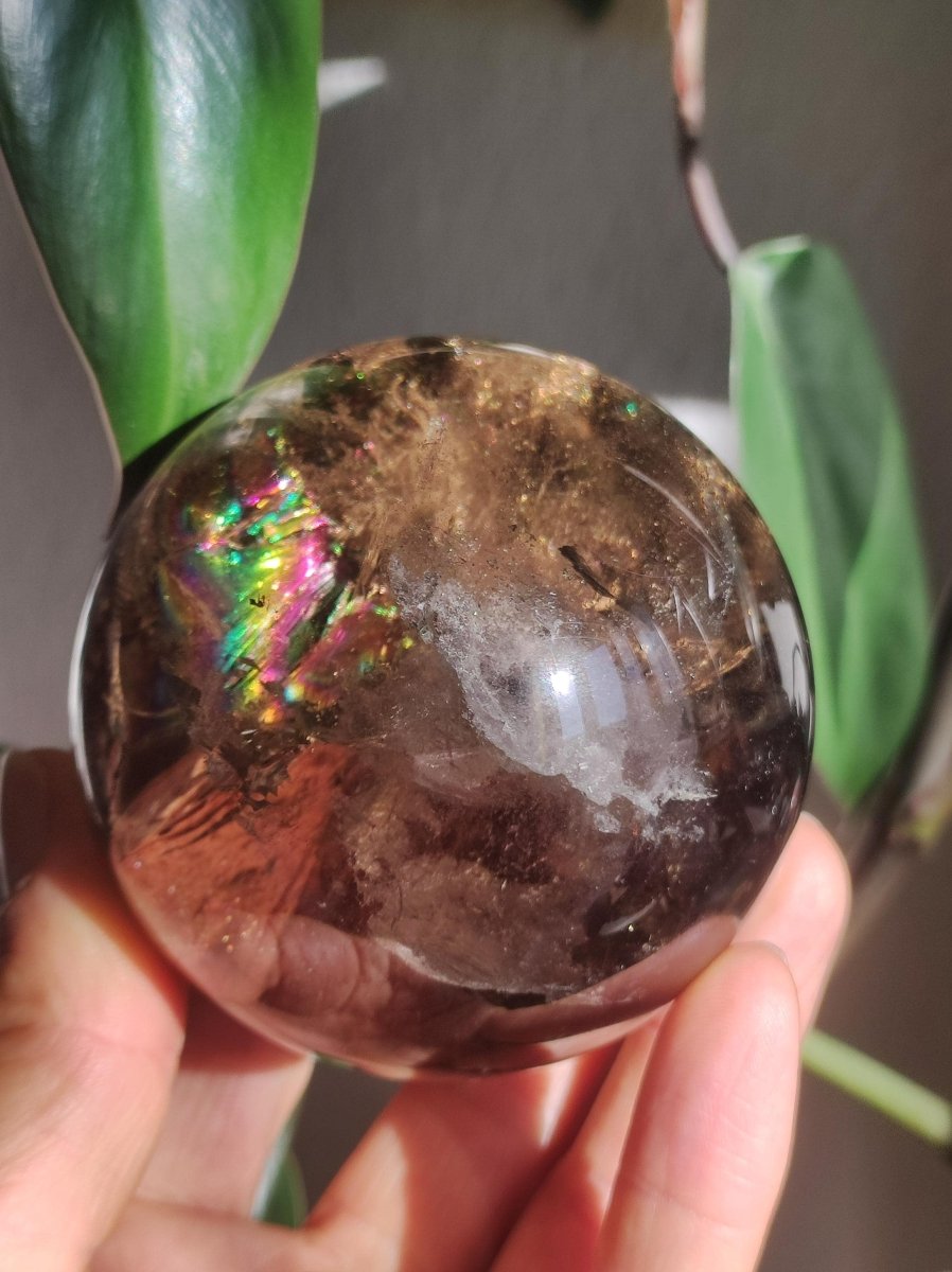 XL Rauchquarz AAA Smokey Quarz Regenbogen Magische Edelstein Sammler Kugel Deko Sphere Kristall Heilstein Meditation Rarität Besonders Groß - Art of Nature Berlin
