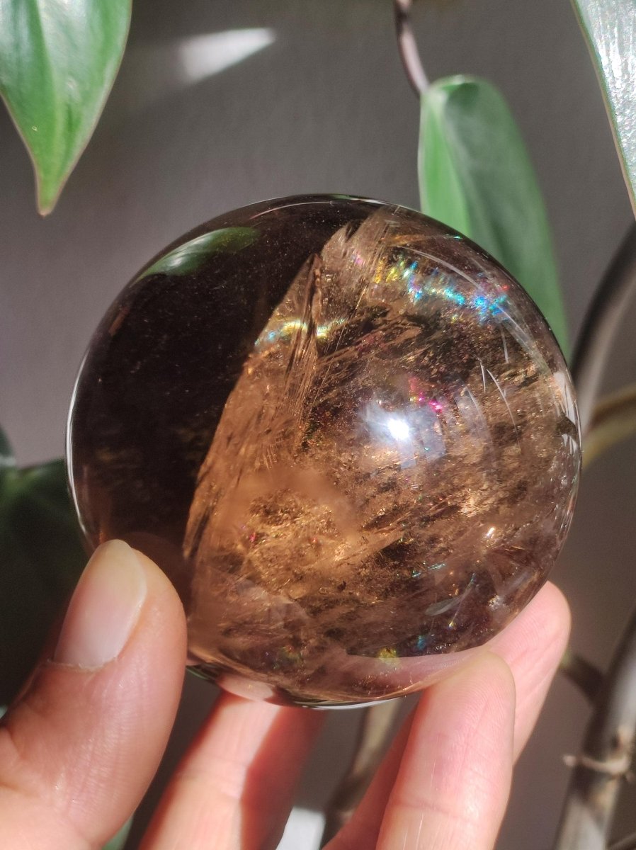 XL Rauchquarz AAA Smokey Quarz Regenbogen Magische Edelstein Sammler Kugel Deko Sphere Kristall Heilstein Meditation Rarität Besonders Groß - Art of Nature Berlin