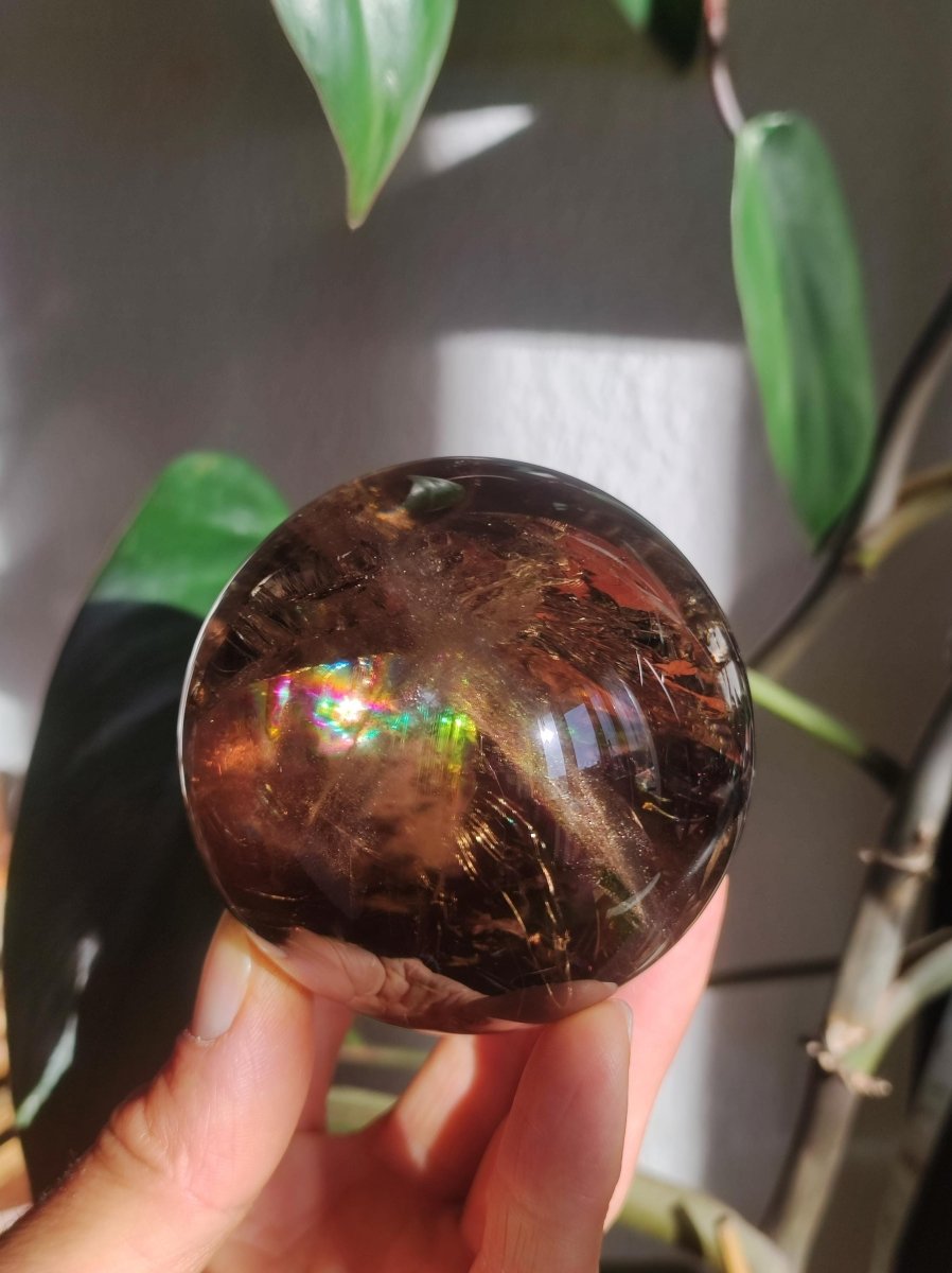 XL Rauchquarz AAA Smokey Quarz Regenbogen Magische Edelstein Sammler Kugel Deko Sphere Kristall Heilstein Meditation Rarität Besonders Groß - Art of Nature Berlin