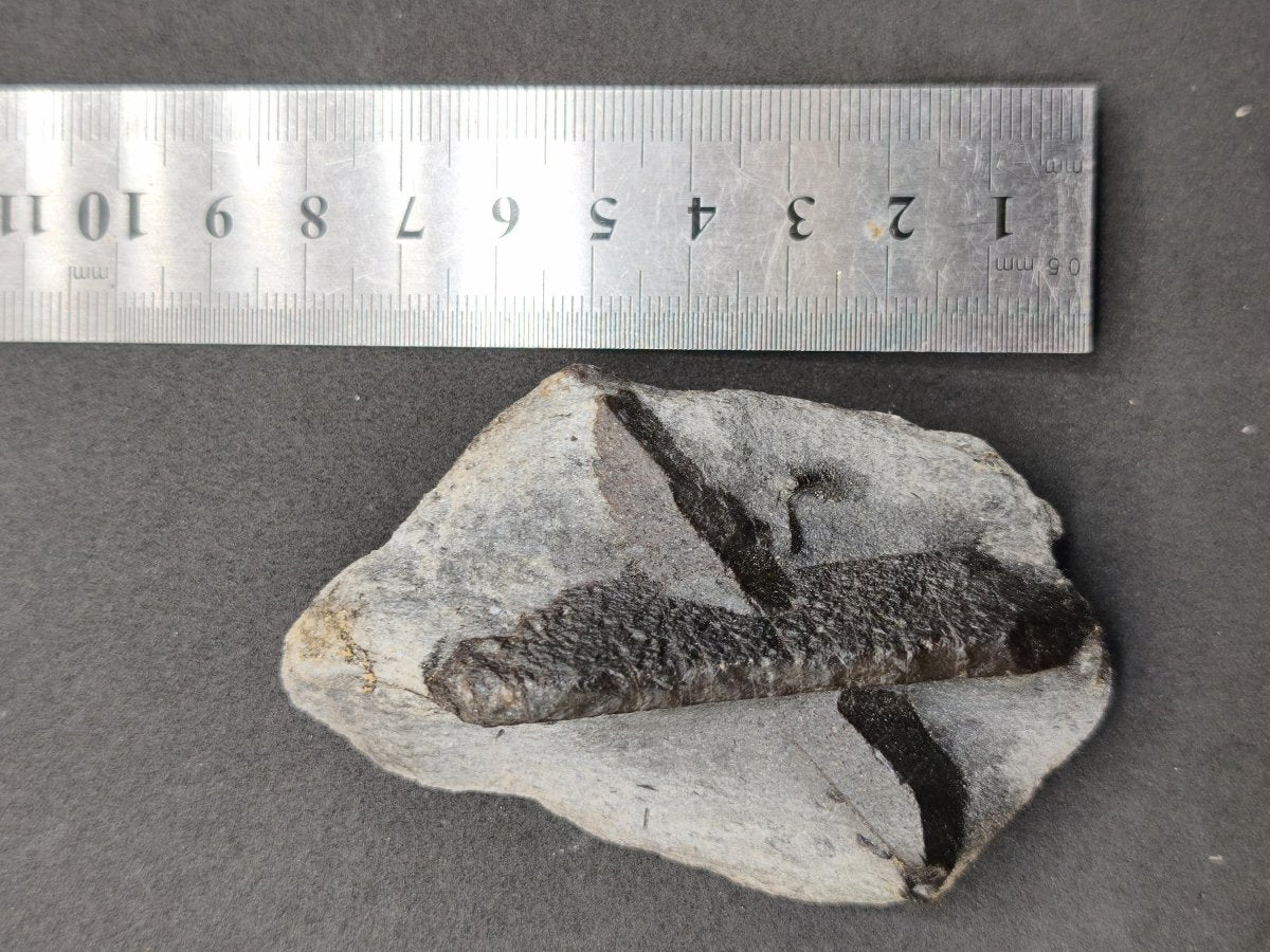 XL STAUROLITE Kreuzstein X Roh Kristall Stufe Sammler Deko groß Energie Heilstein Schutz Geschenk Haus Wohnung - Art of Nature Berlin