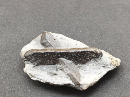 XL STAUROLITE Kreuzstein X Roh Kristall Stufe Sammler Deko groß Energie Heilstein Schutz Geschenk Haus Wohnung - Art of Nature Berlin