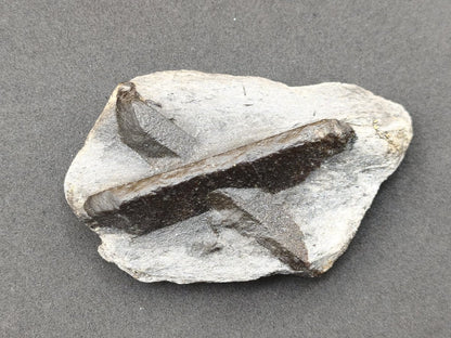XL STAUROLITE Kreuzstein X Roh Kristall Stufe Sammler Deko groß Energie Heilstein Schutz Geschenk Haus Wohnung - Art of Nature Berlin