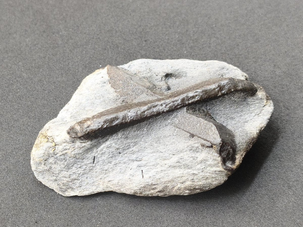 XL STAUROLITE Kreuzstein X Roh Kristall Stufe Sammler Deko groß Energie Heilstein Schutz Geschenk Haus Wohnung - Art of Nature Berlin