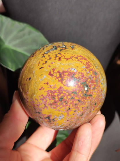 XXL 8 Adern Ocean Jaspis Orbicular gelb - Edelstein Kugel Natur Heilstein Deko Kristall Geschenk Er Sie Mann Frau Haus Wohnen Energie Selten - Art of Nature Berlin