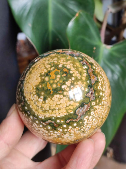 XXL 8 Adern Ocean Jaspis Orbicular gelb - Edelstein Kugel Natur Heilstein Deko Kristall Geschenk Er Sie Mann Frau Haus Wohnen Energie Selten - Art of Nature Berlin
