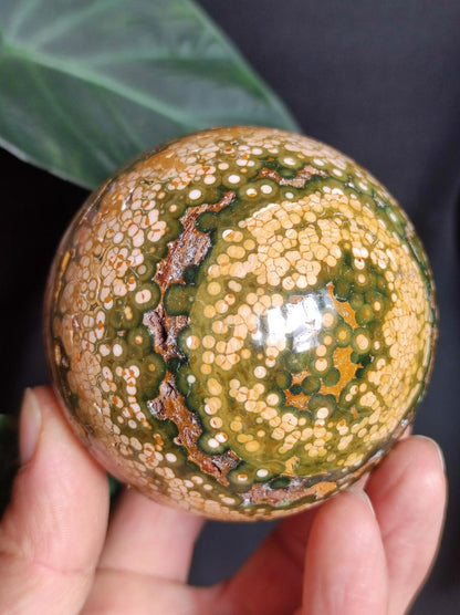 XXL 8 Adern Ocean Jaspis Orbicular gelb - Edelstein Kugel Natur Heilstein Deko Kristall Geschenk Er Sie Mann Frau Haus Wohnen Energie Selten - Art of Nature Berlin