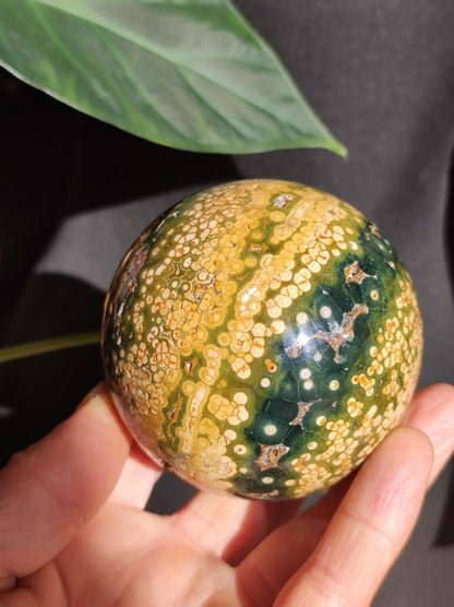 XXL 8 Adern Ocean Jaspis Orbicular gelb - Edelstein Kugel Natur Heilstein Deko Kristall Geschenk Er Sie Mann Frau Haus Wohnen Energie Selten - Art of Nature Berlin