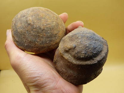 XXL 80mm Moqui Marbles ~ lebende Edelsteine ~ Indianer Schamanenstein ~HIPPIE ~GOA ~Boho ~Ethno ~Nature ~Heilstein ~Energy ~Chakra - Art of Nature Berlin