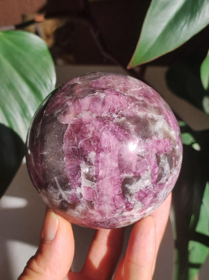 XXL Rubellit / Pink Turmalin A - Edelstein Kugel Deko Sphere Massage Kristall Meditation Heilstein Frau Mann Geschenk Er Sie Haus Energie - Art of Nature Berlin