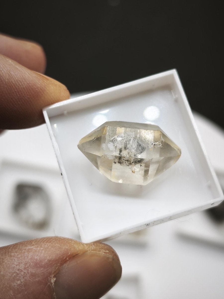 Zepter-Chloritquarz aus Erongo Namibia – 6 Kristalle zur Auswahl – 21–34 mm Doppelender Natürlich Kristall Stufe Sammler Mineral Geschenk - Art of Nature Berlin