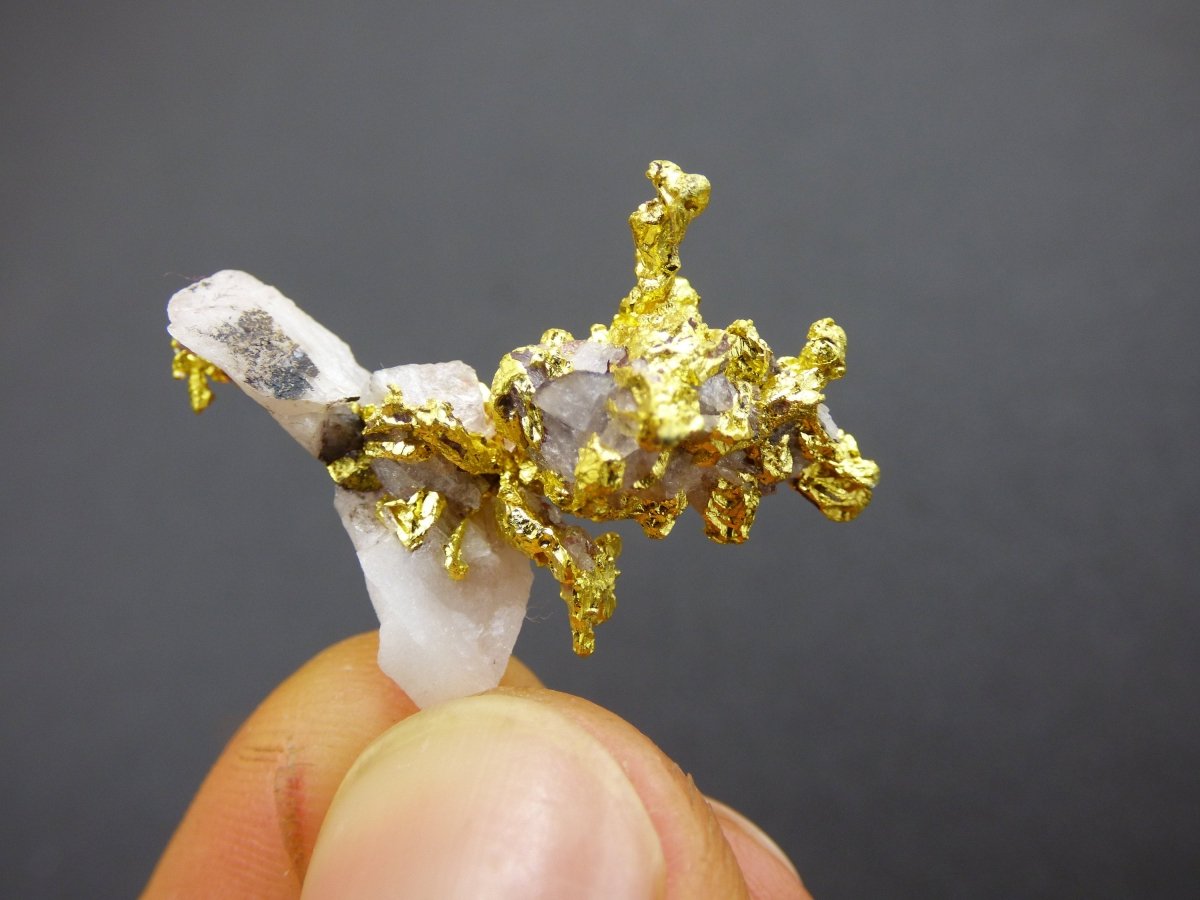 5,2g / 26 karat Gold auf Quarz Matrix KRISTALLIN Marokko - Guelmim-Oued Noun Wertanlage Investition echt natürlich Sammler Mineral selten - Art of Nature Berlin