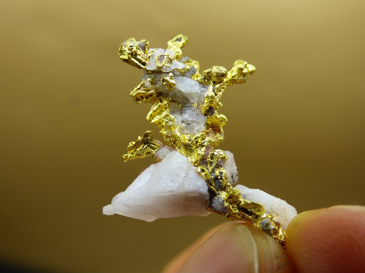 5,2g / 26 karat Gold auf Quarz Matrix KRISTALLIN Marokko - Guelmim-Oued Noun Wertanlage Investition echt natürlich Sammler Mineral selten - Art of Nature Berlin