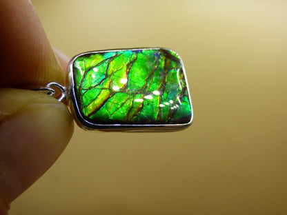 Ammolite Edelstein Kette 925 Sterling Silber ~ Opalisierend ~HIPPIE~GOA~Boho~Ethno~Nature~Heilstein~Fossil~Selten~Sammler~Magic~Grün~Flash - Art of Nature Berlin