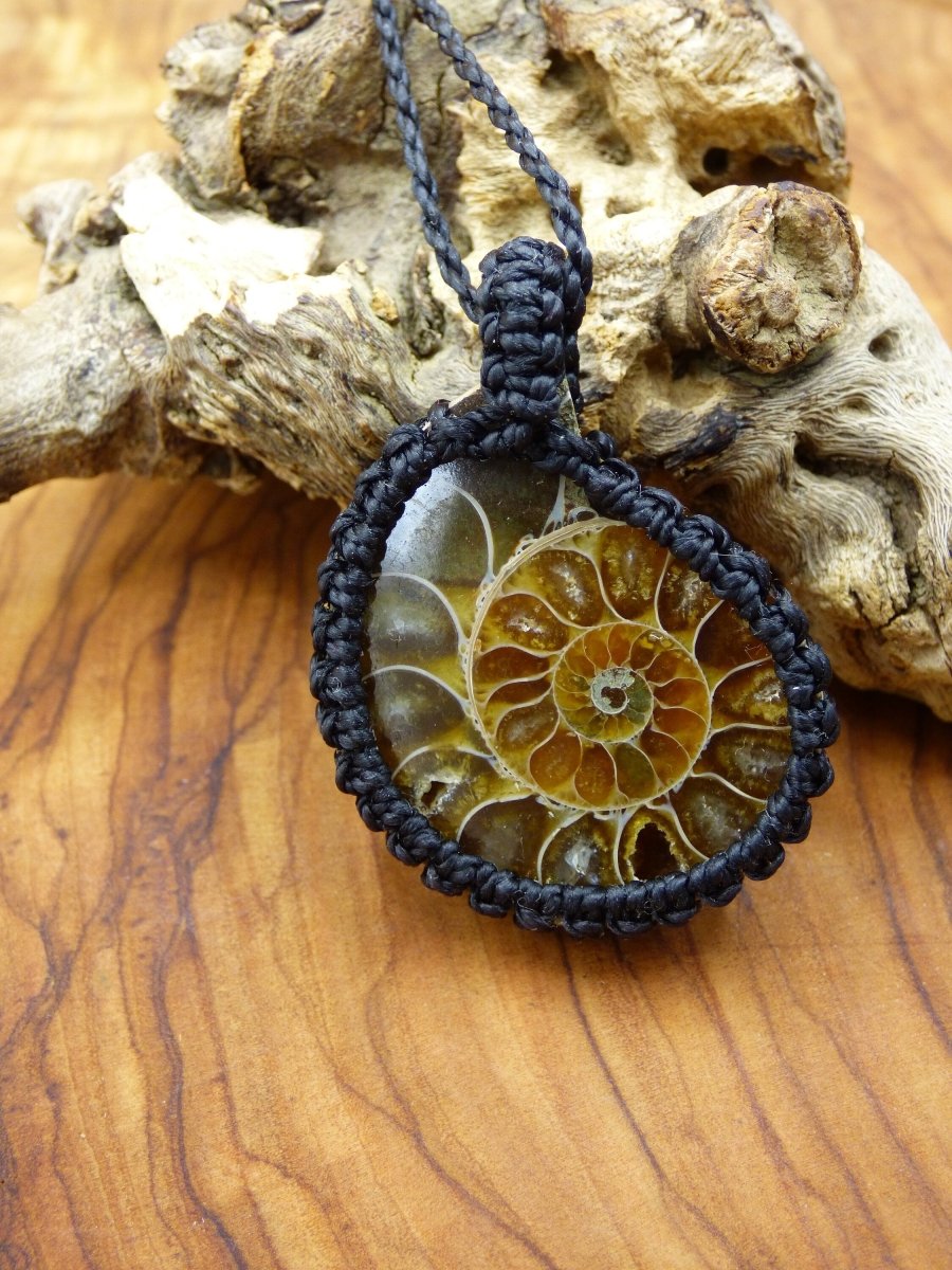 Ammonite Fossil Necklace in Brown and Bronze popular Micro Macrame