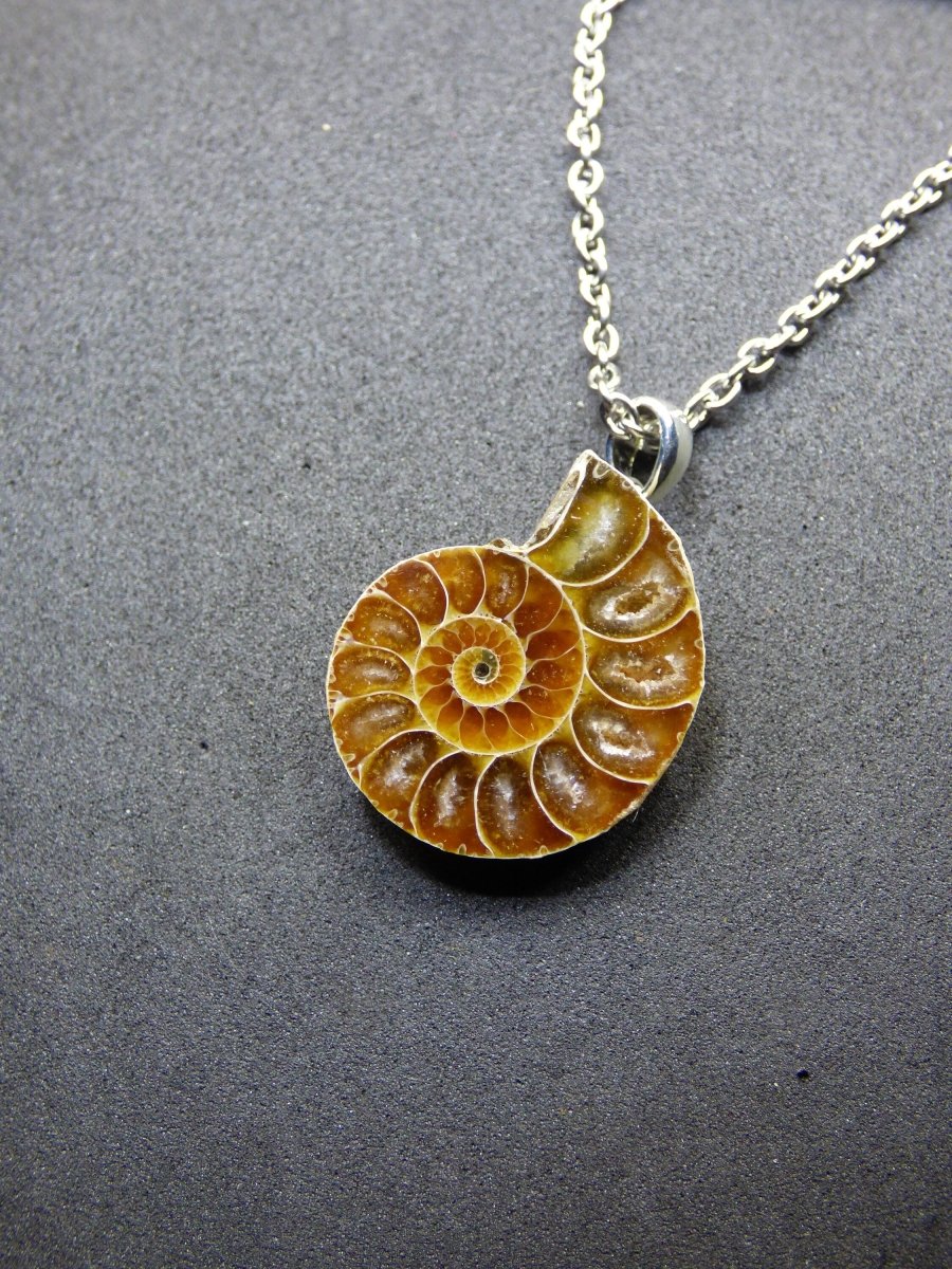 Ammonite Schnecke ~ 925 Sterling Silber ~ Anhänger Kette ~HIPPIE ~GOA ~Boho ~Ethno ~Nature ~Heilstein ~Fossil ~Spirale - Art of Nature Berlin