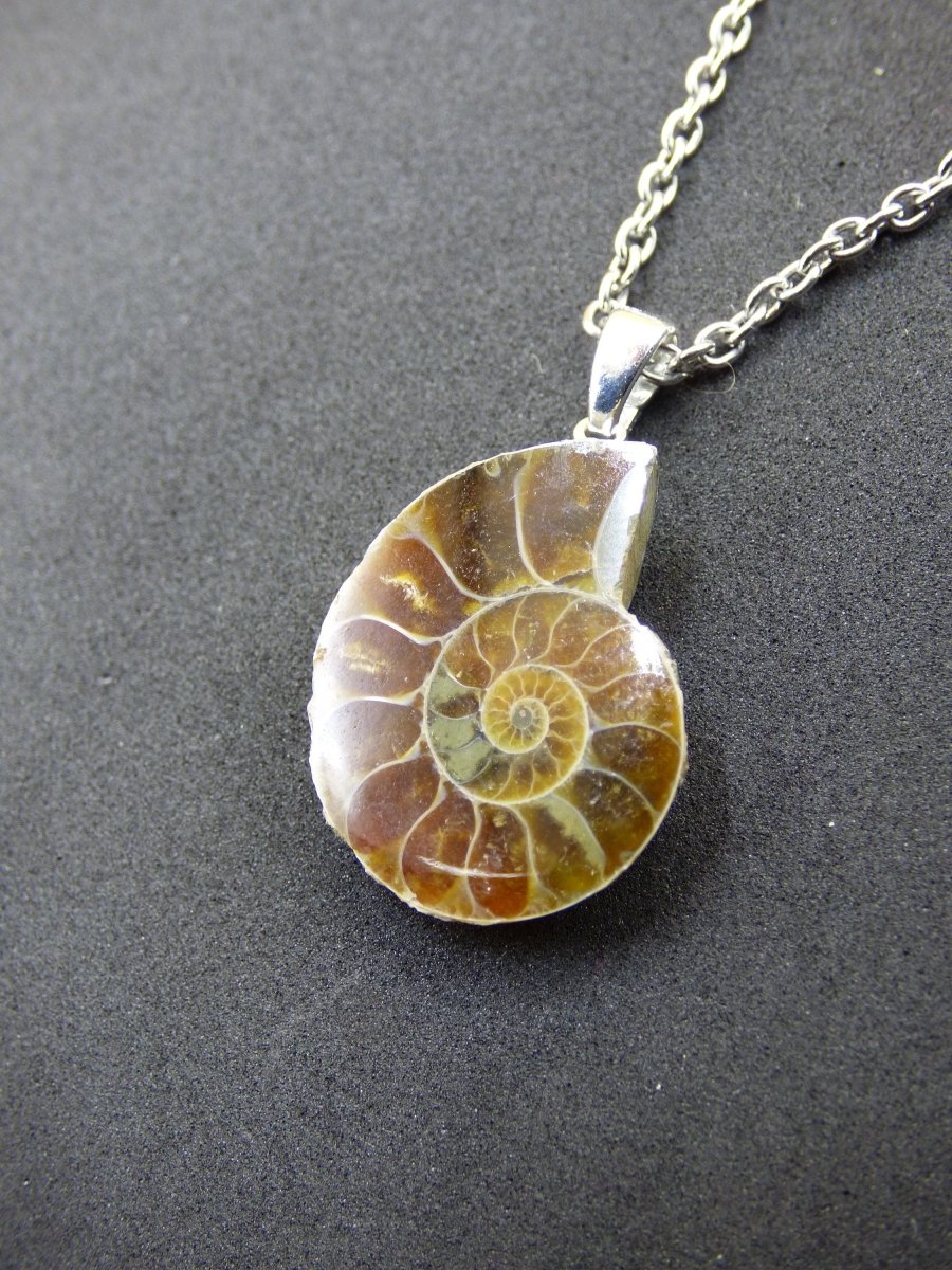 Ammonite Schnecke ~ 925 Sterling Silber ~ Anhänger Kette ~HIPPIE ~GOA ~Boho ~Ethno ~Nature ~Heilstein ~Fossil ~Spirale - Art of Nature Berlin