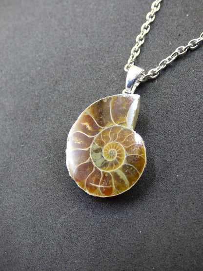 Ammonite Schnecke ~ 925 Sterling Silber ~ Anhänger Kette ~HIPPIE ~GOA ~Boho ~Ethno ~Nature ~Heilstein ~Fossil ~Spirale - Art of Nature Berlin