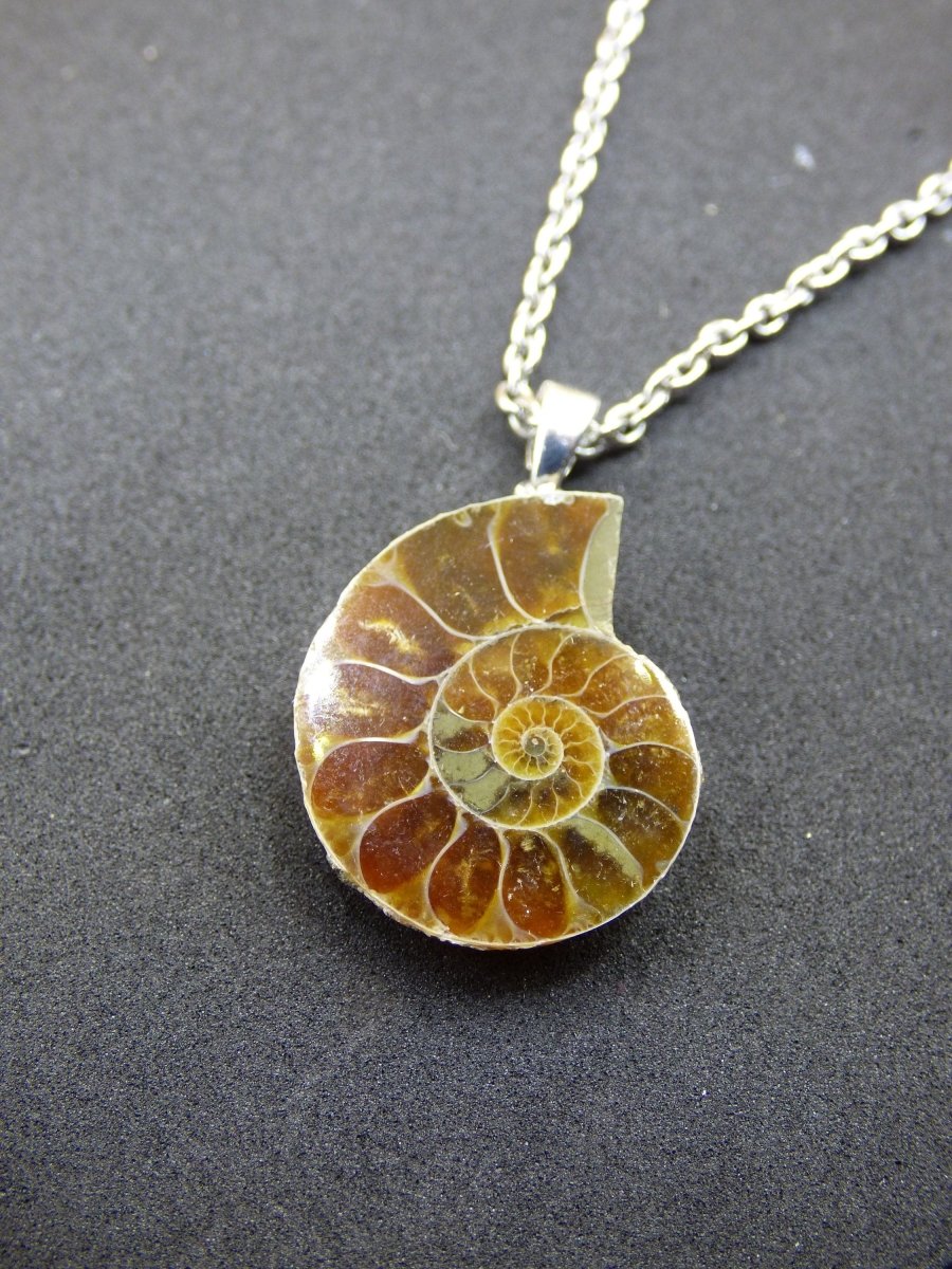 Ammonite Schnecke ~ 925 Sterling Silber ~ Anhänger Kette ~HIPPIE ~GOA ~Boho ~Ethno ~Nature ~Heilstein ~Fossil ~Spirale - Art of Nature Berlin