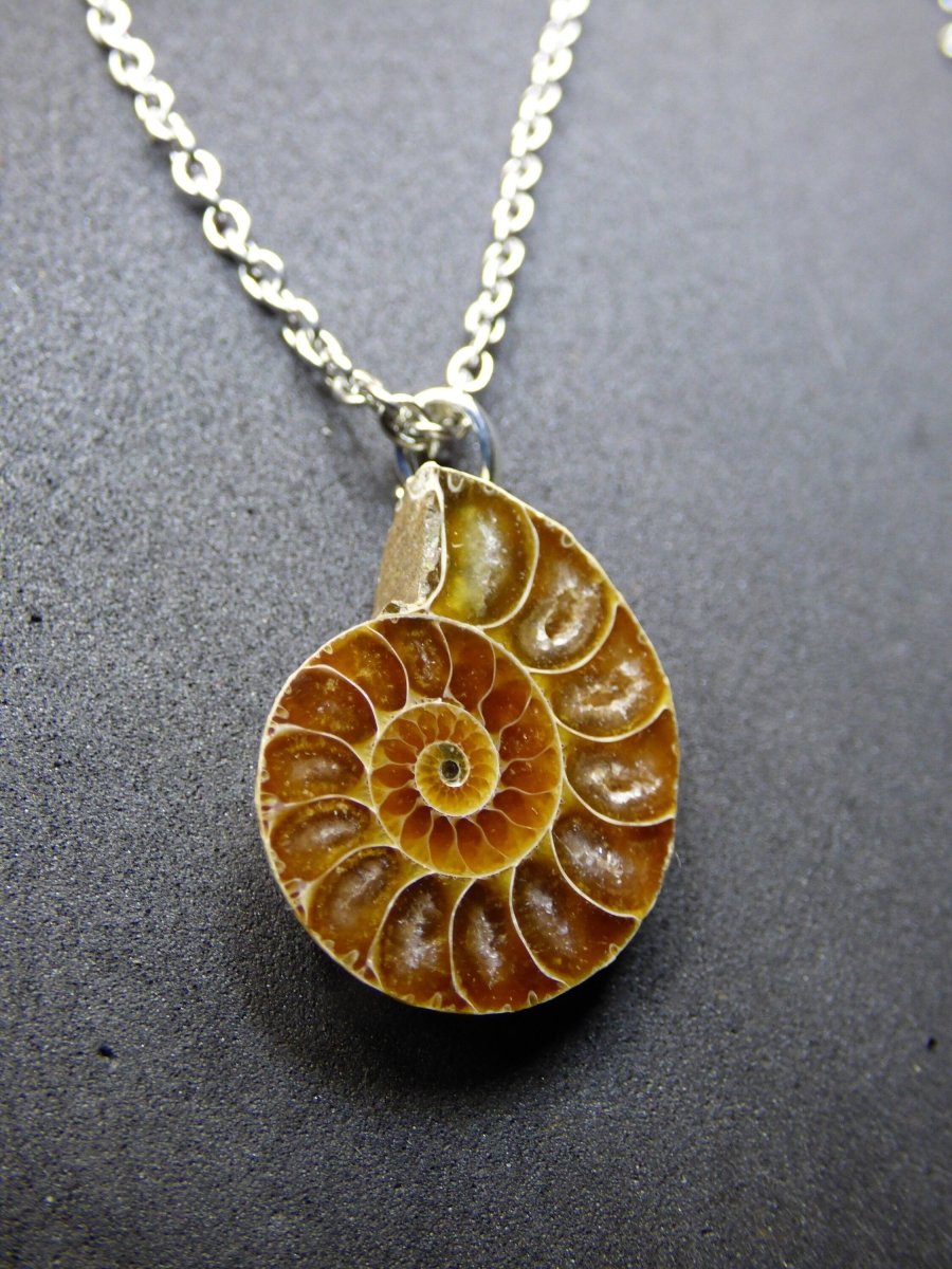 Ammonite Schnecke ~ 925 Sterling Silber ~ Anhänger Kette ~HIPPIE ~GOA ~Boho ~Ethno ~Nature ~Heilstein ~Fossil ~Spirale - Art of Nature Berlin