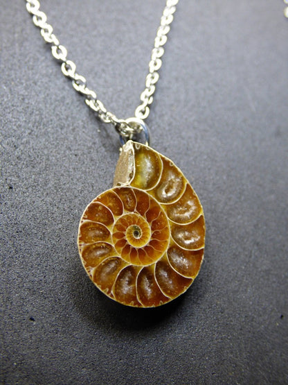 Ammonite Schnecke ~ 925 Sterling Silber ~ Anhänger Kette ~HIPPIE ~GOA ~Boho ~Ethno ~Nature ~Heilstein ~Fossil ~Spirale - Art of Nature Berlin