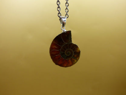 Ammonite Schnecke ~ 925 Sterling Silber ~ Anhänger Kette ~HIPPIE ~GOA ~Boho ~Ethno ~Nature ~Heilstein ~Fossil ~Spirale - Art of Nature Berlin