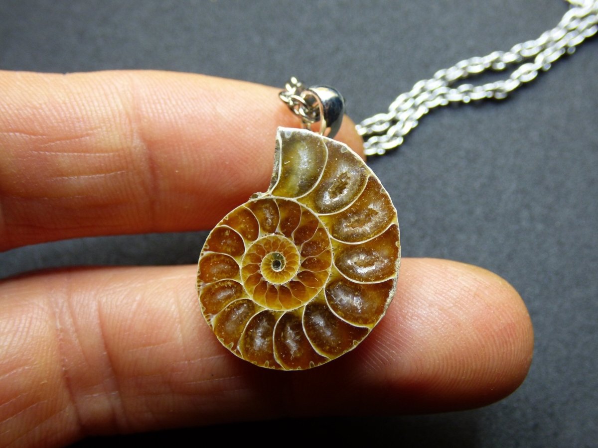 Ammonite Schnecke ~ 925 Sterling Silber ~ Anhänger Kette ~HIPPIE ~GOA ~Boho ~Ethno ~Nature ~Heilstein ~Fossil ~Spirale - Art of Nature Berlin