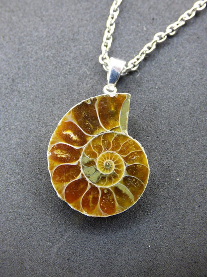 Ammonite Schnecke ~ 925 Sterling Silber ~ Anhänger Kette ~HIPPIE ~GOA ~Boho ~Ethno ~Nature ~Heilstein ~Fossil ~Spirale - Art of Nature Berlin