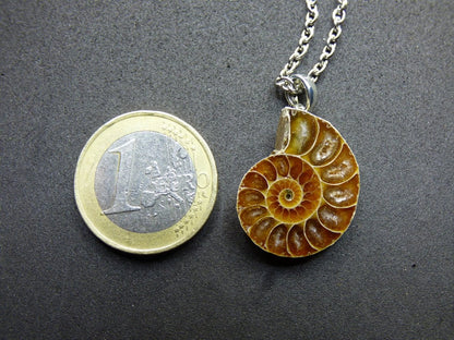 Ammonite Schnecke ~ 925 Sterling Silber ~ Anhänger Kette ~HIPPIE ~GOA ~Boho ~Ethno ~Nature ~Heilstein ~Fossil ~Spirale - Art of Nature Berlin