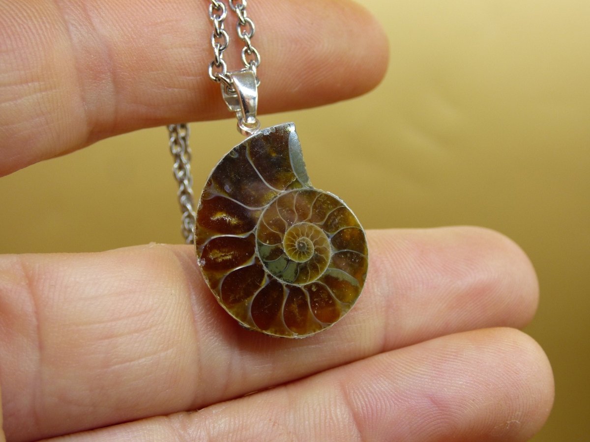 Ammonite Schnecke ~ 925 Sterling Silber ~ Anhänger Kette ~HIPPIE ~GOA ~Boho ~Ethno ~Nature ~Heilstein ~Fossil ~Spirale - Art of Nature Berlin