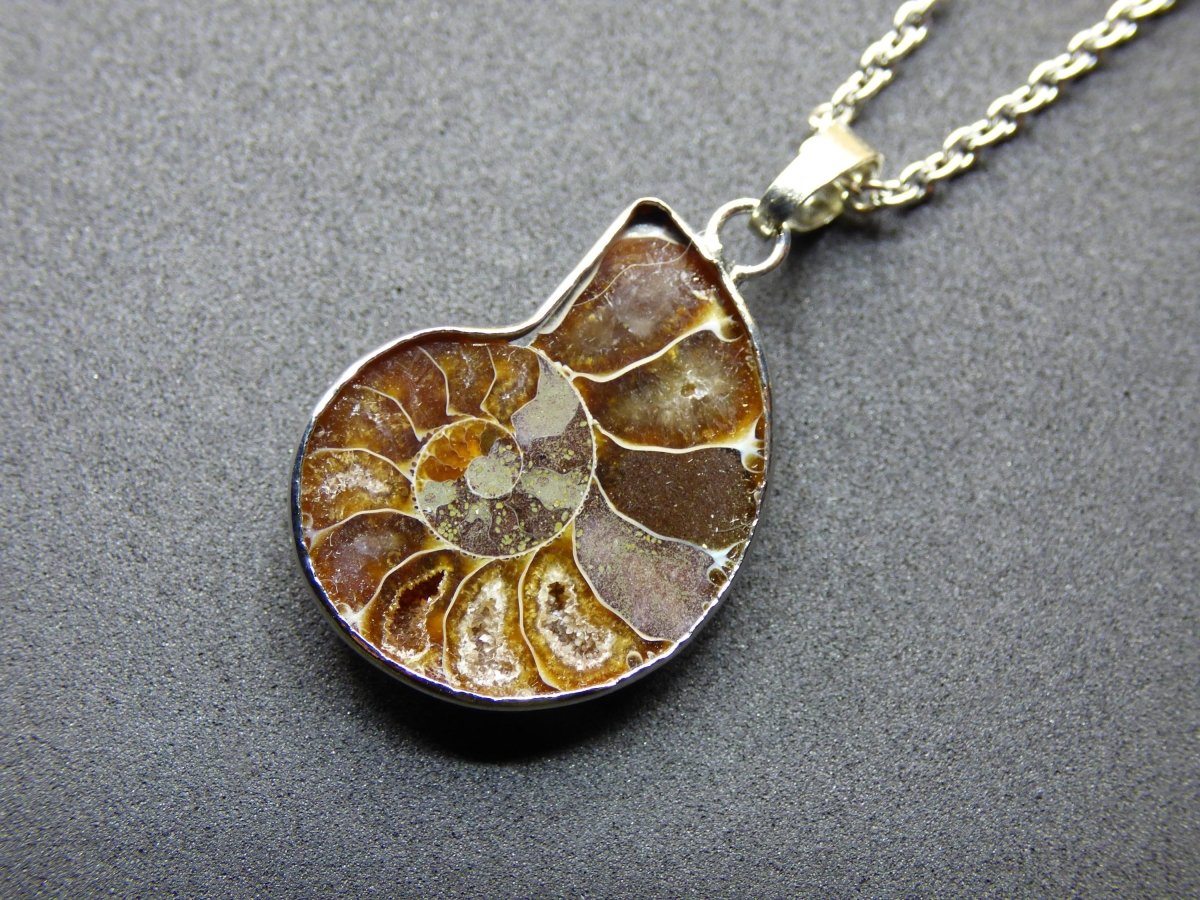 Ammonite Schnecke ~ Anhänger Kette HIPPIE Boho Ethno Nature Heilstein Fossil Spirale Leben Universum Fossil Frau Mann braun rund Fibonacci - Art of Nature Berlin