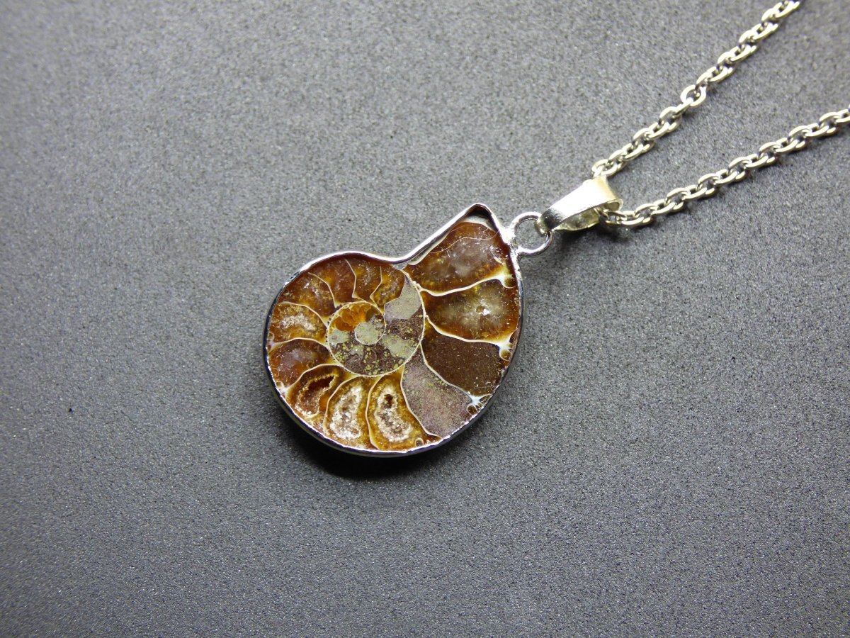 Ammonite Schnecke ~ Anhänger Kette HIPPIE Boho Ethno Nature Heilstein Fossil Spirale Leben Universum Fossil Frau Mann braun rund Fibonacci - Art of Nature Berlin