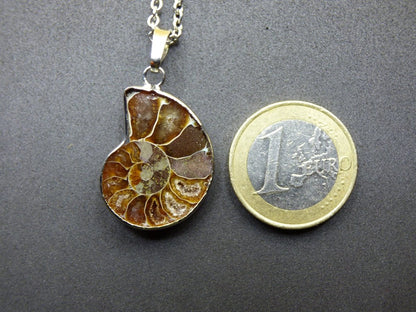 Ammonite Schnecke ~ Anhänger Kette HIPPIE Boho Ethno Nature Heilstein Fossil Spirale Leben Universum Fossil Frau Mann braun rund Fibonacci - Art of Nature Berlin