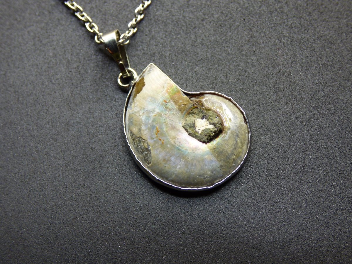 Ammonite Schnecke ~ Anhänger Kette HIPPIE Boho Ethno Nature Heilstein Fossil Spirale Leben Universum Fossil Frau Mann braun rund Fibonacci - Art of Nature Berlin