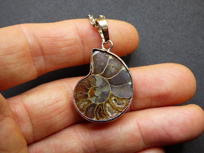 Ammonite Schnecke ~ Anhänger Kette HIPPIE Boho Ethno Nature Heilstein Fossil Spirale Leben Universum Fossil Frau Mann braun rund Fibonacci - Art of Nature Berlin