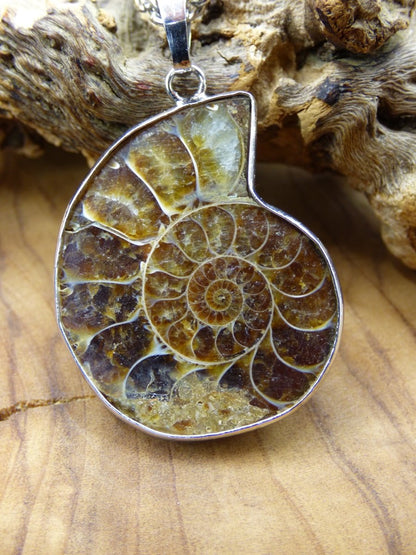 Ammonite Schnecke ~ Anhänger Kette ~HIPPIE ~GOA ~Boho ~Ethno ~Nature ~Heilstein ~Fossil ~Spirale - Art of Nature Berlin