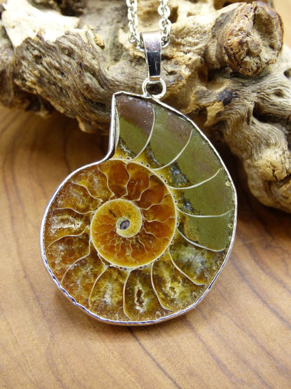 Ammonite Schnecke ~ Anhänger Kette ~HIPPIE ~GOA ~Boho ~Ethno ~Nature ~Heilstein ~Fossil ~Spirale - Art of Nature Berlin