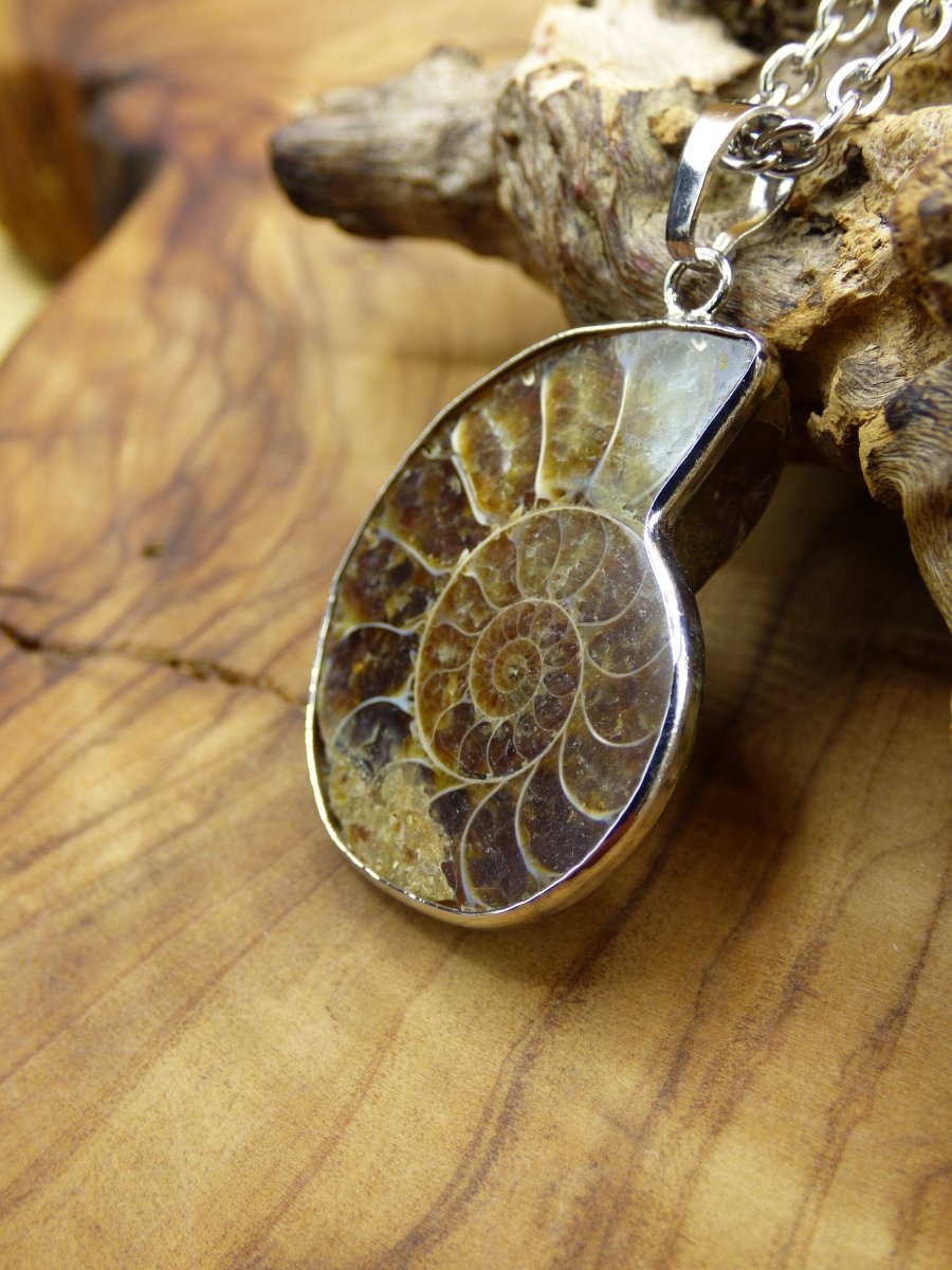 Ammonite Schnecke ~ Anhänger Kette ~HIPPIE ~GOA ~Boho ~Ethno ~Nature ~Heilstein ~Fossil ~Spirale - Art of Nature Berlin