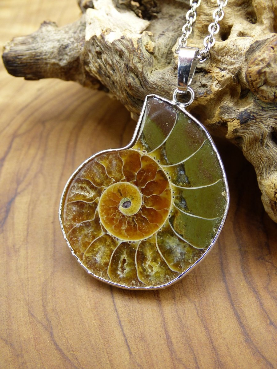 Ammonite Schnecke ~ Anhänger Kette ~HIPPIE ~GOA ~Boho ~Ethno ~Nature ~Heilstein ~Fossil ~Spirale - Art of Nature Berlin