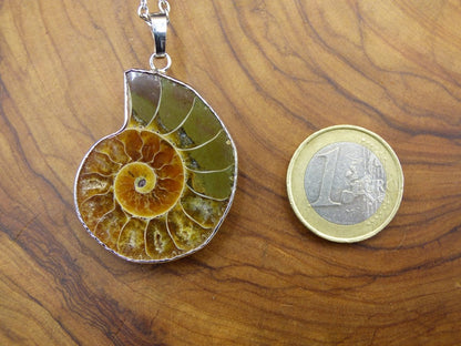 Ammonite Schnecke ~ Anhänger Kette ~HIPPIE ~GOA ~Boho ~Ethno ~Nature ~Heilstein ~Fossil ~Spirale - Art of Nature Berlin