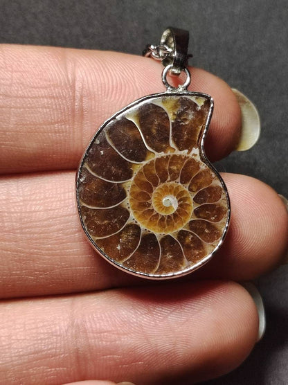 Ammonite Schnecke ~ Anhänger Kette ~HIPPIE ~GOA ~Boho ~Ethno ~Nature ~Heilstein ~Fossil ~Spirale - Art of Nature Berlin