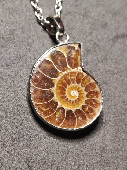 Ammonite Schnecke ~ Anhänger Kette ~HIPPIE ~GOA ~Boho ~Ethno ~Nature ~Heilstein ~Fossil ~Spirale - Art of Nature Berlin