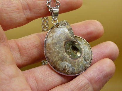 Ammonite Schnecke ~ Anhänger Kette ~HIPPIE ~GOA ~Boho ~Ethno ~Nature ~Heilstein ~Fossil ~Spirale - Art of Nature Berlin