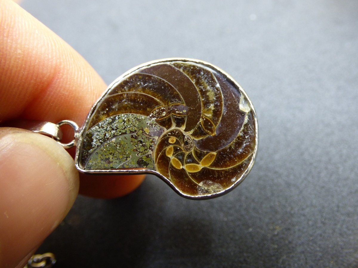 Ammonite Schnecke ~ Anhänger Kette ~HIPPIE ~GOA ~Boho ~Ethno ~Nature ~Heilstein ~Fossil ~Spirale - Art of Nature Berlin