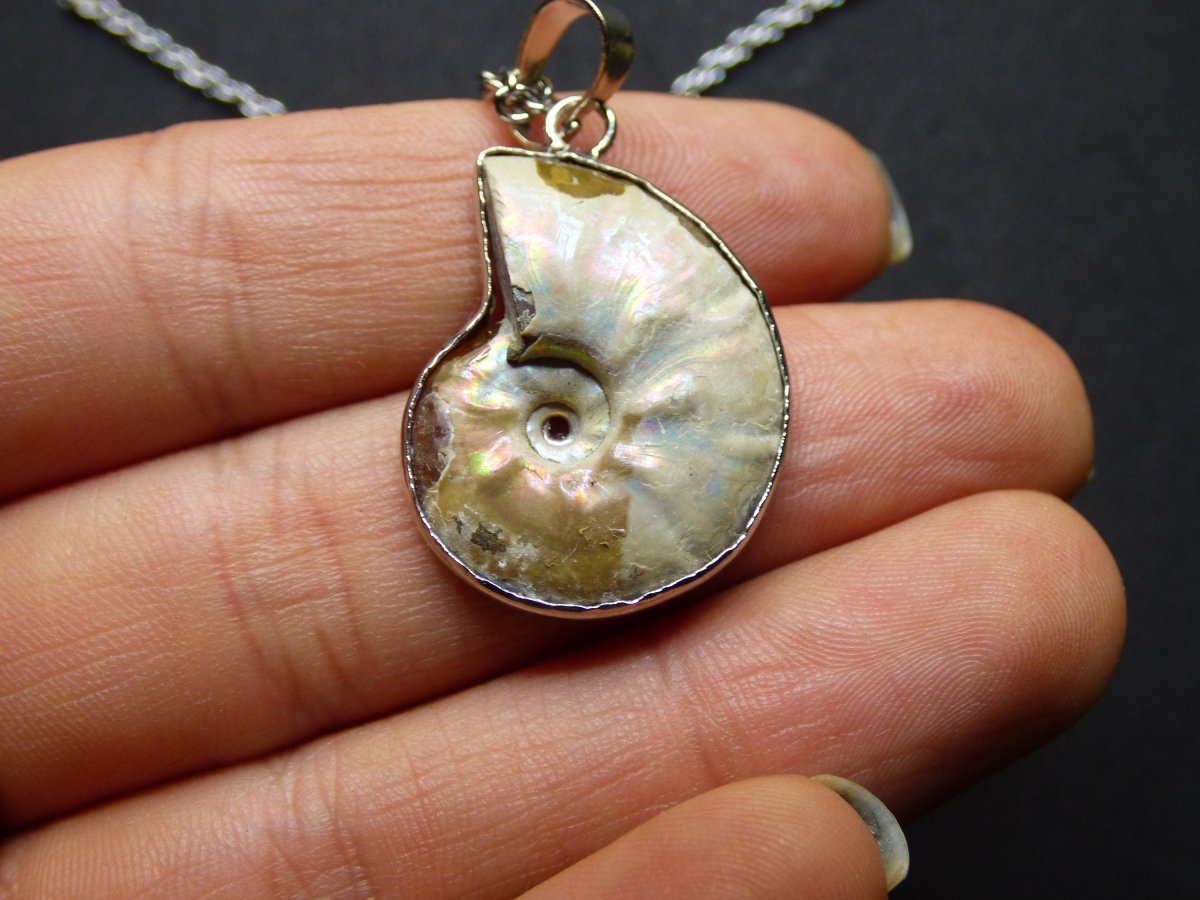 Ammonite Schnecke ~ Anhänger Kette ~HIPPIE ~GOA ~Boho ~Ethno ~Nature ~Heilstein ~Fossil ~Spirale - Art of Nature Berlin