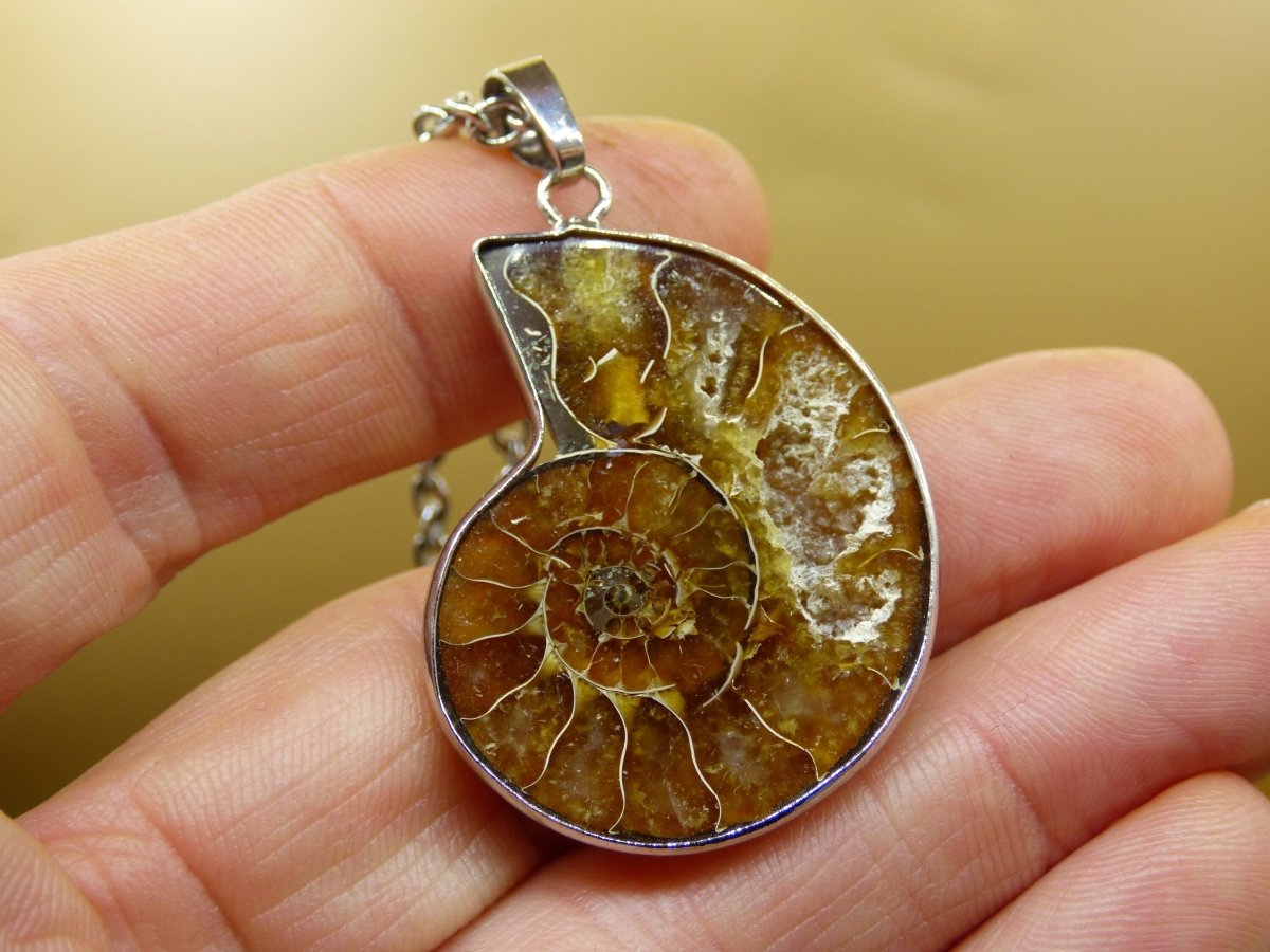 Ammonite Schnecke ~ Anhänger Kette ~HIPPIE ~GOA ~Boho ~Ethno ~Nature ~Heilstein ~Fossil ~Spirale - Art of Nature Berlin