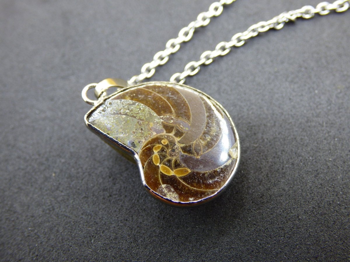 Ammonite Schnecke ~ Anhänger Kette ~HIPPIE ~GOA ~Boho ~Ethno ~Nature ~Heilstein ~Fossil ~Spirale - Art of Nature Berlin