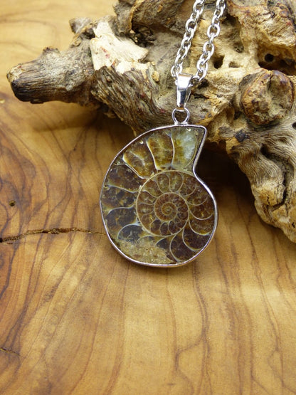 Ammonite Schnecke ~ Anhänger Kette ~HIPPIE ~GOA ~Boho ~Ethno ~Nature ~Heilstein ~Fossil ~Spirale - Art of Nature Berlin