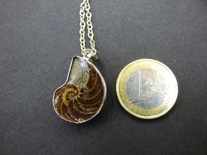 Ammonite Schnecke ~ Anhänger Kette ~HIPPIE ~GOA ~Boho ~Ethno ~Nature ~Heilstein ~Fossil ~Spirale - Art of Nature Berlin