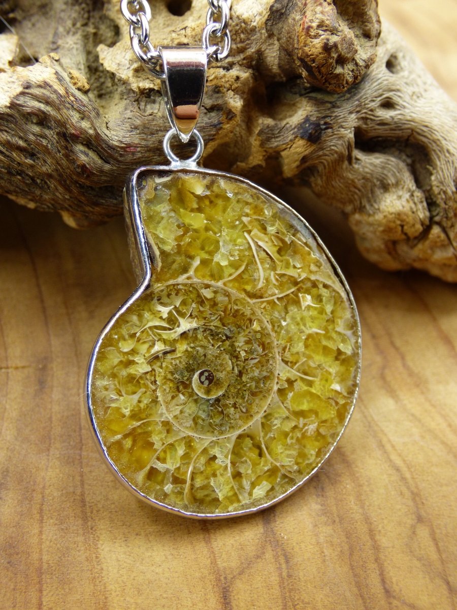 Ammonite Schnecke ~ Anhänger Kette ~HIPPIE ~GOA ~Boho ~Ethno ~Nature ~Heilstein ~Fossil ~Spirale - Art of Nature Berlin